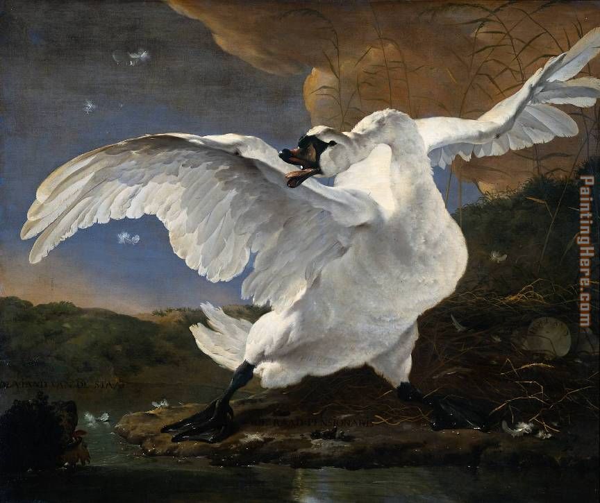 Unknown Artist Jan Asselijn The Threatened Swan